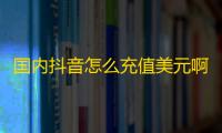 国内抖音怎么充值美元啊,KS业务下单平台 - 点赞充值24小时到账 - dy自助下单