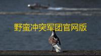 野蛮冲突军团官网版
